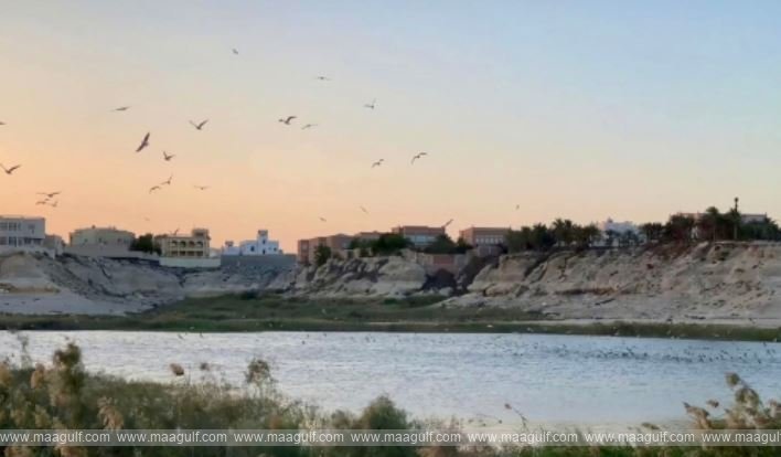 Wadi Al-Buhair in Bahrain has not been closed..!!
